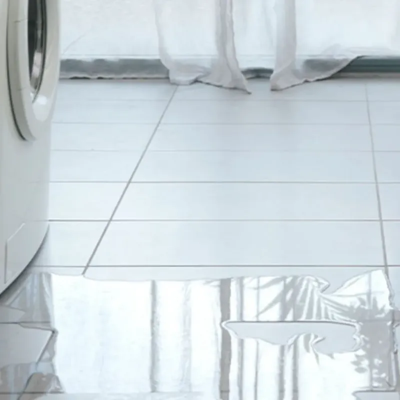 Appliance Leak Cleanup in Detroit, MI