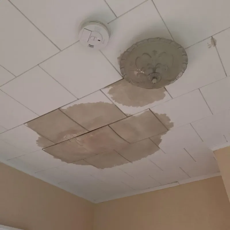 Ceiling Water Damage Repair in Detroit, MI