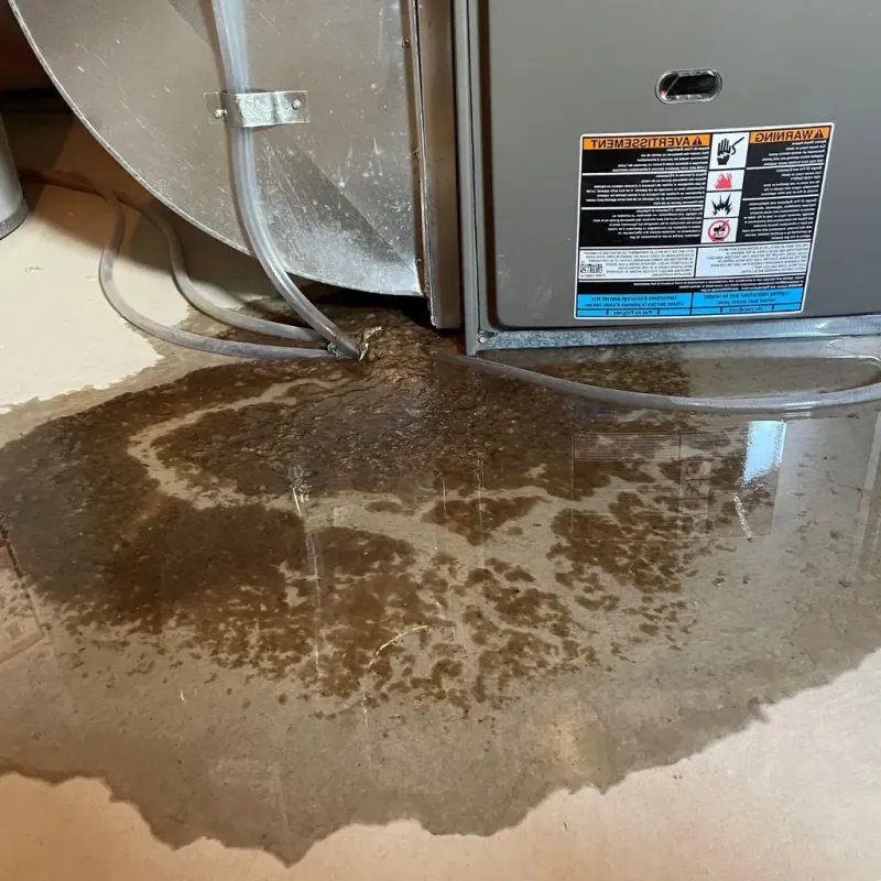 Pipe Burst and Leak Restoration in Detroit, MI